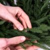 Girland 3 Nordic Spruce Soft – 100% PE prémium karácsonyi girland