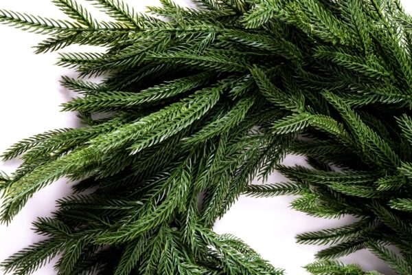 Girland 6 Nordic Spruce Soft – 100% PE prémium karácsonyi girland